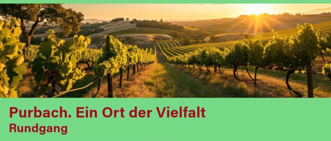 Bild enthält, Villa, City, Street, Neighborhood, Summer, Advertisement, Poster, Vegetation, Nature, Outdoors