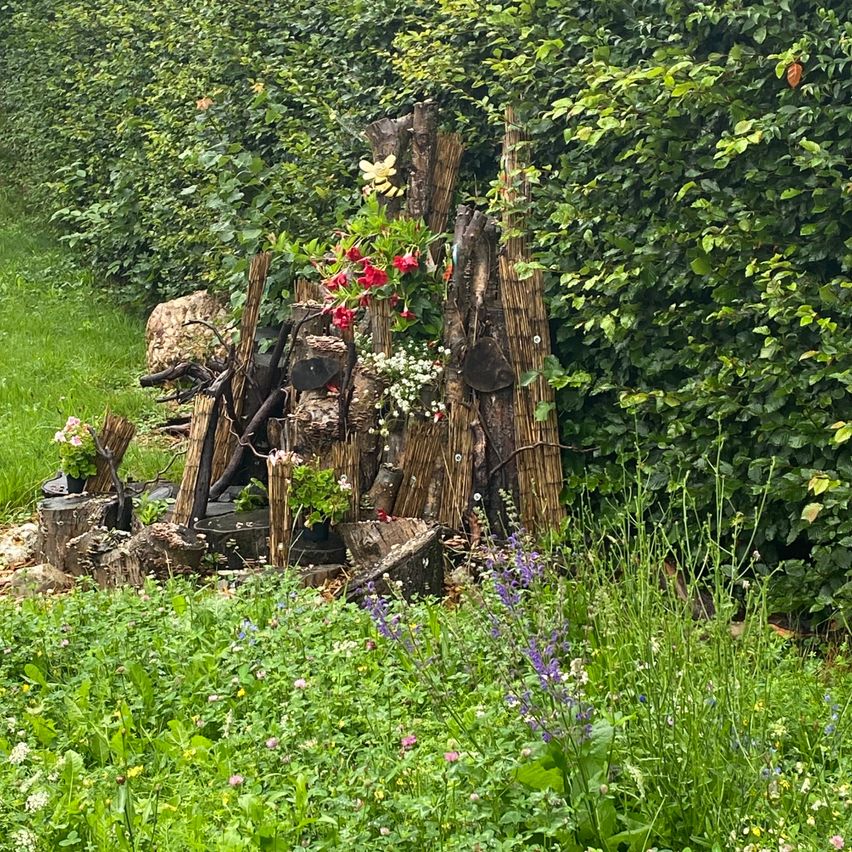 Ein Gartenbereich mit verschiedenen Pflanzen, darunter rote und weiße Blumen, umgeben von grünen Büschen und Gras.