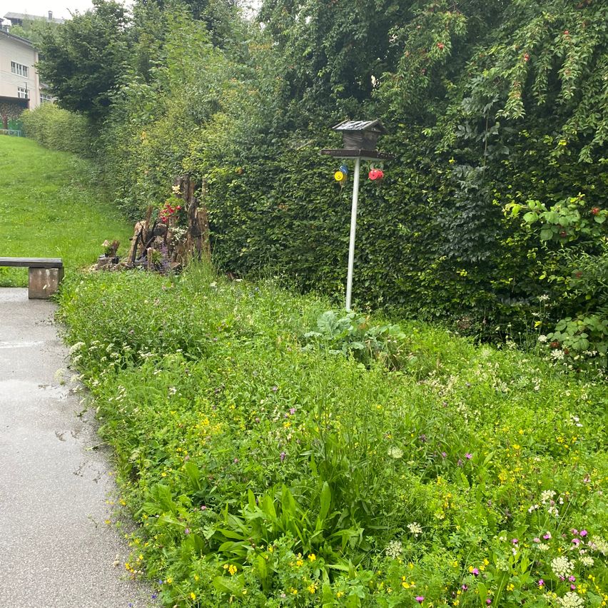 Ein Weg, umgeben von hohem Gras und Blumen. Ein Vogelhaus ist an einem Pfahl auf der rechten Seite befestigt. Eine Bank ist links. Bäume und Pflanzen befinden sich an den Seiten. Ein Haus steht im Hintergrund.