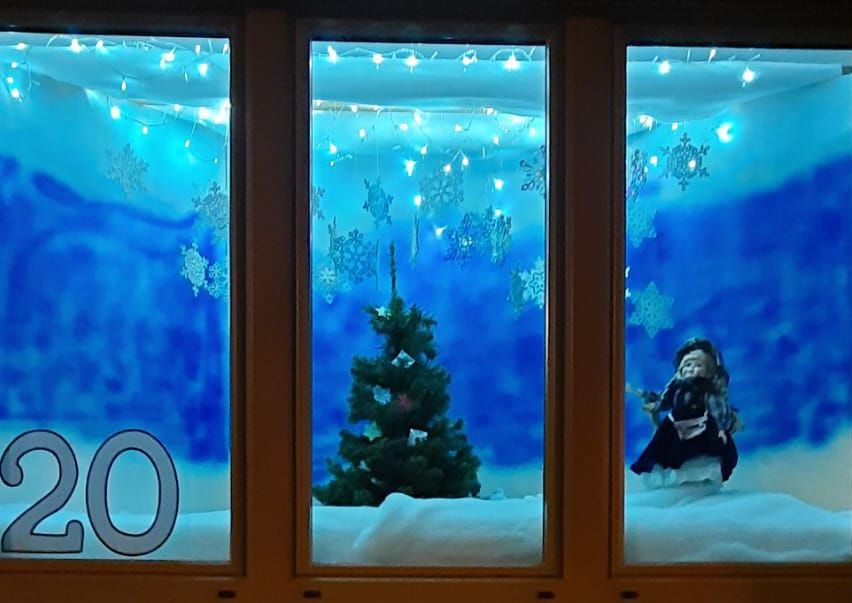 Bild enthält, Water, Aquatic, Person, Outdoors, Nature, Scuba Diving, Plant, Tree, Christmas Decorations, Festival