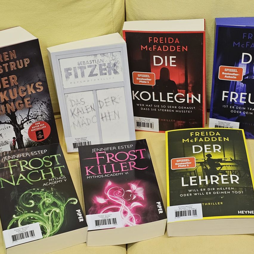 Eine Sammlung von Büchern auf einem gelben Sofa umfasst 'Frostnacht', 'Frost Killer', 'Sebastian Fitzek', 'Die Kollegin' und 'Der Lehrer'.