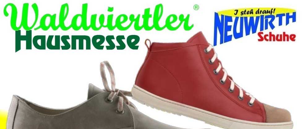Clothing, Footwear, Shoe, Sneaker