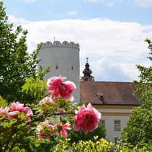 StiftsparkBabenbergerturmcStiftMelkBrigitteKobler