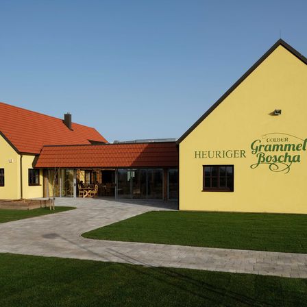 GrammelBoschabySteveHaider2018(25)