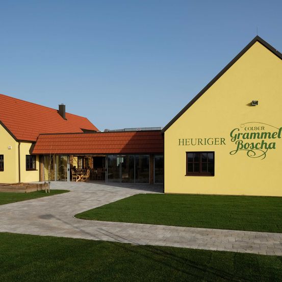 GrammelBoschabySteveHaider2018(25)