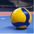 Volleyballverein Schrattenberg-Logo