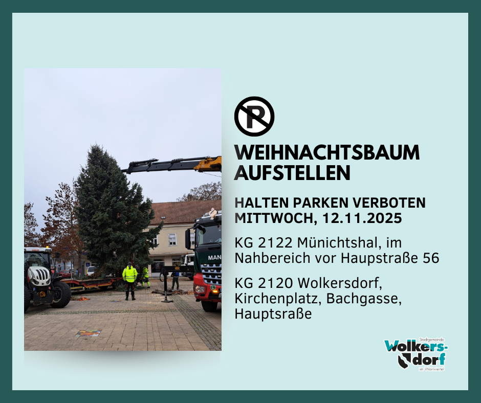 The image shows a truck placing a Christmas tree in a village square. The notice reads: 'Parking Prohibited, Wednesday, 12.11.2025. KG 2122 Munichthal, near Hauptstraße 56. KG 2120 Wolkersdorf, Church Square, Bachgasse, Hauptstraße.'