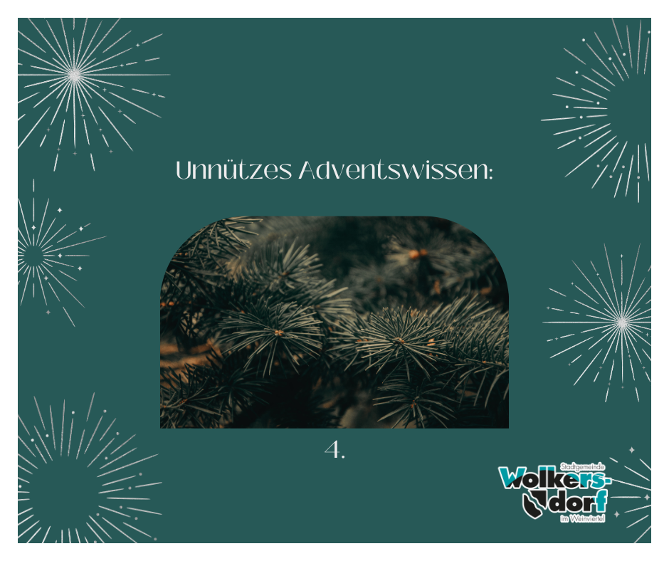 Grünes Plakat mit weißen Text 'Unnutzes Adventswissen: 4.' und einem Bild von Tannenbaum, Feuerwerk und Logo.