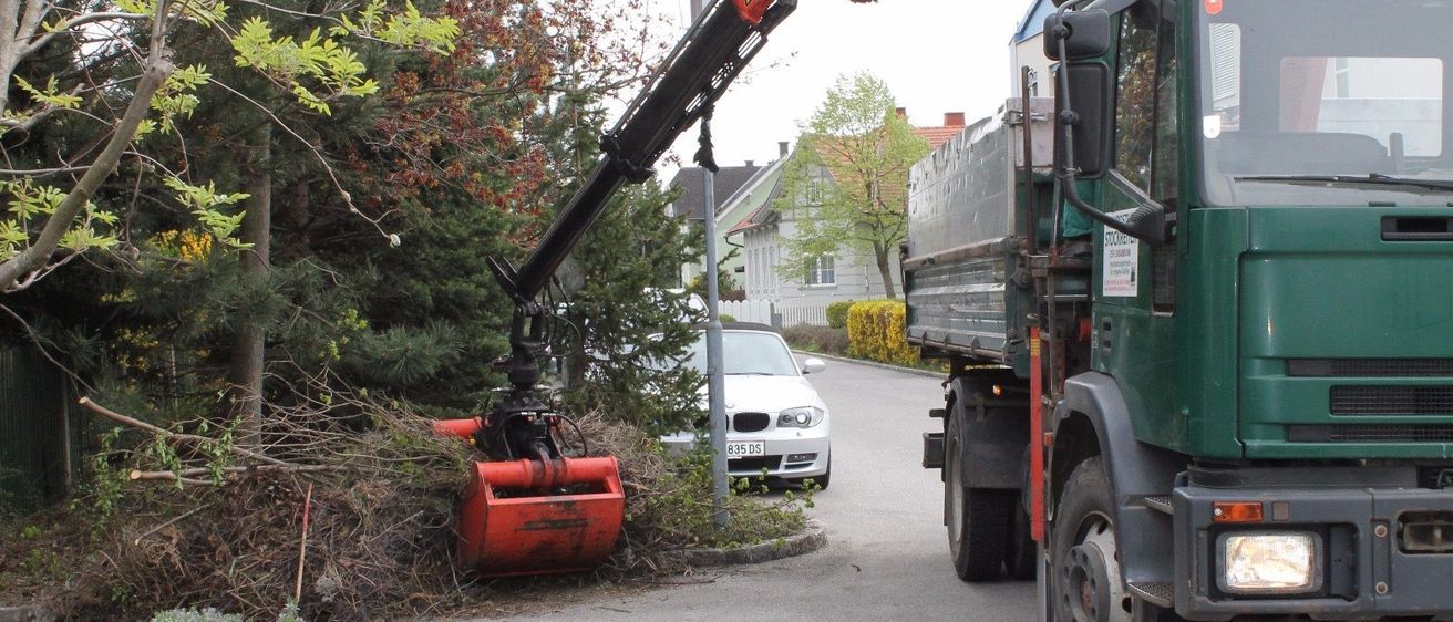 Ein Mann in einem grünen Jackett bedient einen Kran auf einem grünen Lastwagen und entfernt Äste von einem Baum in der Nähe einer Straße.