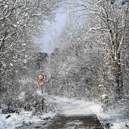 Schneebedeckte Bäume säumen einen schmalen Pfad, mit roten und weißen Schildern, die die Richtung anzeigen. Schnee bedeckt den Boden und die Bäume, und die Äste sind schwer mit Schnee beladen.