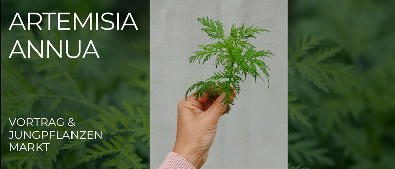 Ein Bild mit einer Hand, die eine grüne Pflanze hält, mit den Worten 'Artemisia annua' darüber und 'Vortrag & Jungpflanzen Markt' darunter.