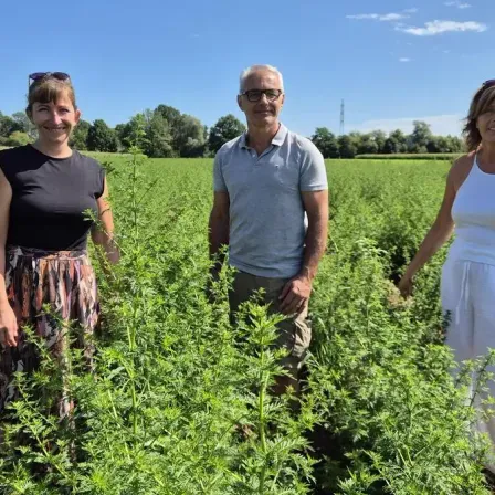 Drei Personen stehen in einem Feld mit grünen Pflanzen. Sie lächeln und scheinen für ein Foto zu posieren.