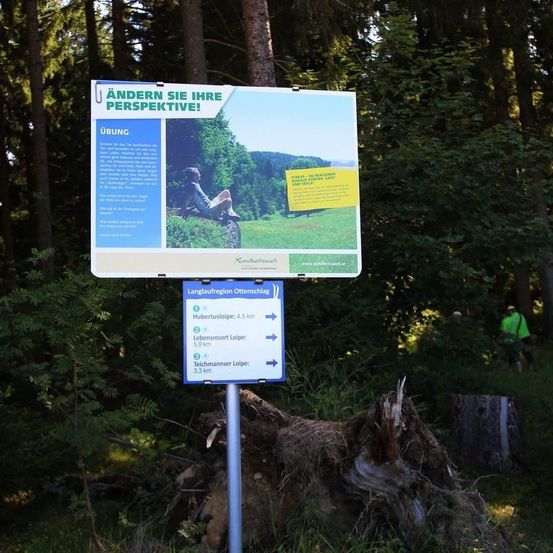 Bild enthält, Grove, Land, Tree, Vegetation, Woodland, Rainforest, Trail, Wilderness, Jungle, Zoo