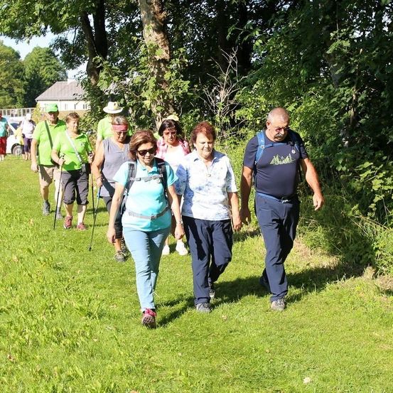 Bild enthält, Grass, Park, Walking, Vegetation, Grove, Tree, Woodland, Shelter, People, Path