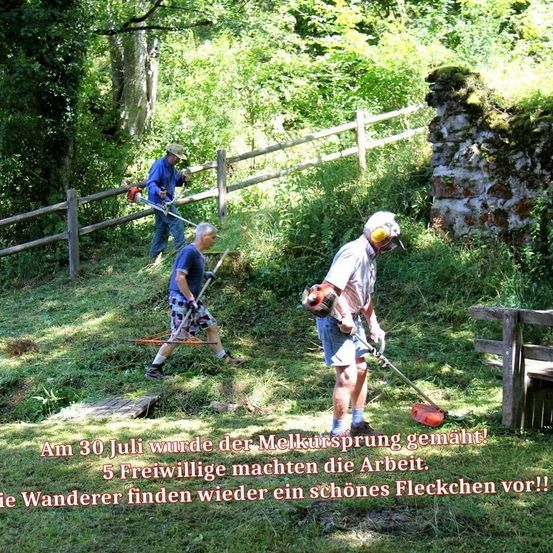 Bild enthält, Grass, Vegetation, Adult, Male, Man, Person, Backyard, Outdoors, Woodland, Garden