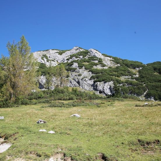 Bild enthält, Nature, Outdoors, Wilderness, Grassland, Countryside, Hill, Fir, Tree, Plateau, Grass