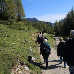 Bild enthält, Hiking, Nature, Walking, Path, Vegetation, Wilderness, Tree, Woodland, Trail, Grove