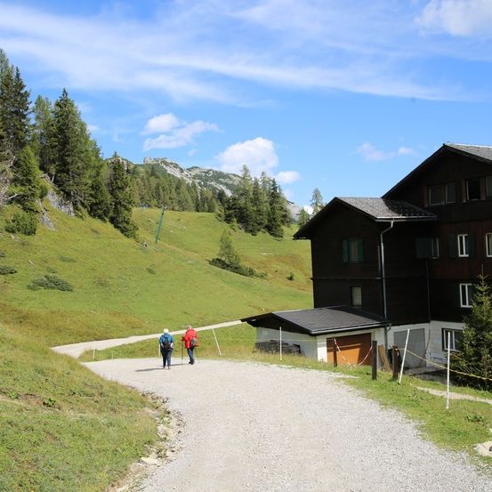 Bild enthält, Tree, Fir, Outdoors, Nature, Scenery, Building, Shelter, Housing, Person, House