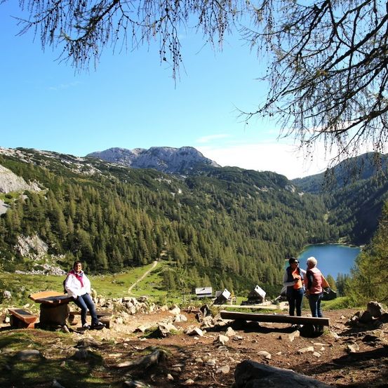 Bild enthält, Nature, Outdoors, Wilderness, Hiking, Vegetation, Tree, Scenery, Landscape, Woodland, Peak