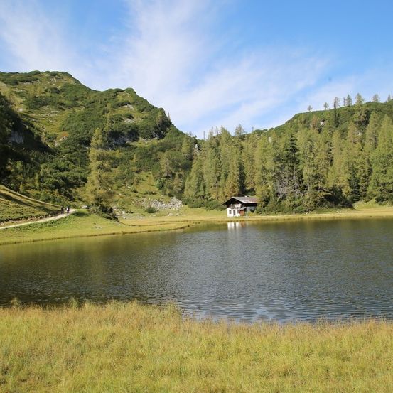 Bild enthält, Nature, Outdoors, Scenery, Lake, Water, Fir, Tree, Landscape, Pond, Wilderness