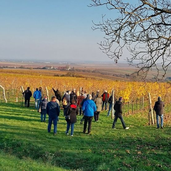 Bild enthält, Nature, Outdoors, Person, Walking, Countryside, Rural, Farm, Handbag, Vineyard, Shoe