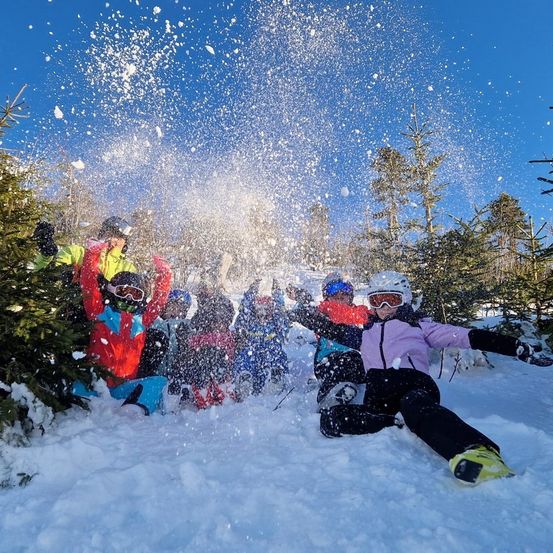 Bild enthält, Nature, Outdoors, Clothing, Glove, Person, Helmet, Glasses, Snow, Snowball Fight, Bird