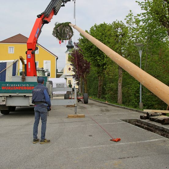 Ein großer Baumstamm wird von einem Kran in einem Außenbereich angehoben. Eine Person steht vor dem Kran. Ein paar Bäume sind an den Straßenrändern gepflanzt.