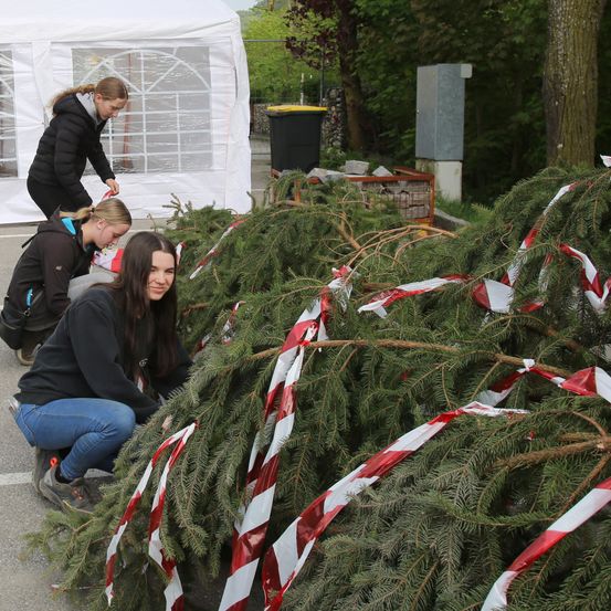 Drei Frauen schmücken einen Baum mit roten und weißen Bändern. Sie befinden sich in einem Außenbereich mit einem weißen Zelt im Hintergrund.