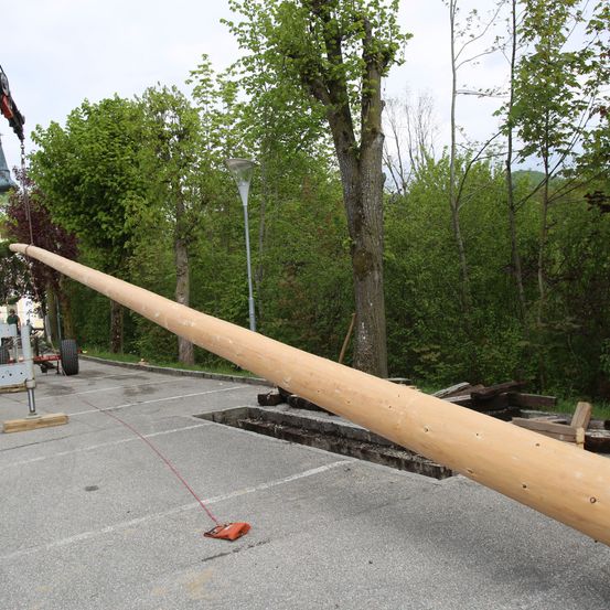 Ein langer Holzbalken wird von einem Kran in einem von üppigen grünen Bäumen umgebenen Parkplatz angehoben.