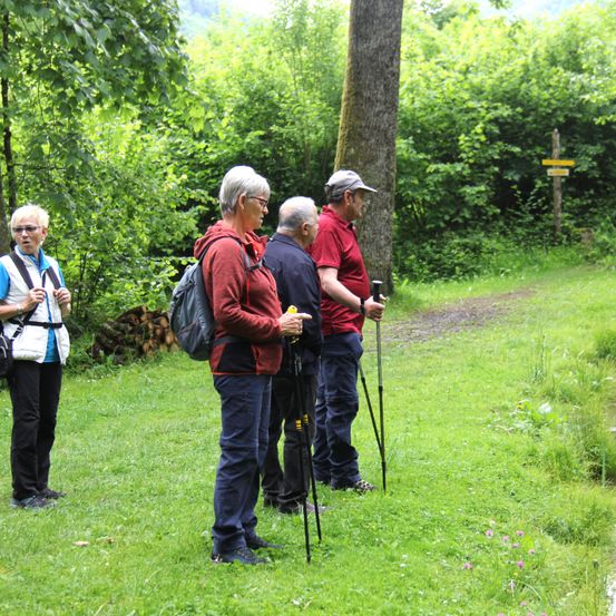 Fünf Personen wandern im Wald. Vier tragen Rucksäcke. Sie alle halten Wanderstöcke. Dahinter steht ein Holzschild.