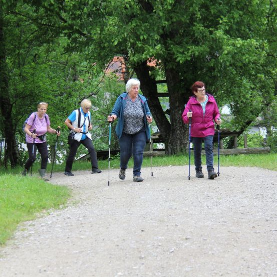 Vier Frauen, jede mit Wanderstöcken, laufen auf einem Kiesweg in einem Park. Bäume und ein Holzzaun sind im Hintergrund zu sehen.