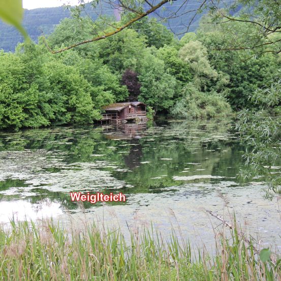 Eine kleine Hütte befindet sich in der Mitte eines Sees, umgeben von üppigen Bäumen und Pflanzen. Die Reflexion der Hütte ist auf der ruhigen Wasseroberfläche sichtbar. Das Wort 'Weigl Teich' ist in Rot geschrieben.