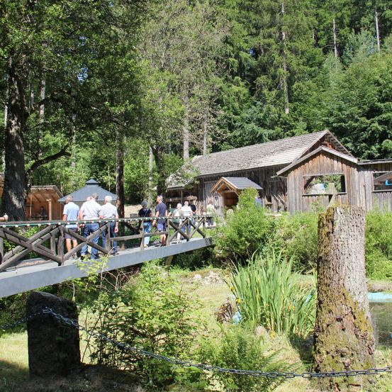 Eine Gruppe von Menschen geht auf einer Holzbrücke in einem Waldgebiet, mit einem Holzhaus dahinter und Pflanzen und Bäumen drumherum.