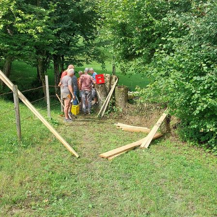 Eine Gruppe von Menschen in einem Grasfeld arbeitet um einen umgestürzten Baum herum, auf dem ein roter Kühler steht und gebrochene Holzplanken liegen.
