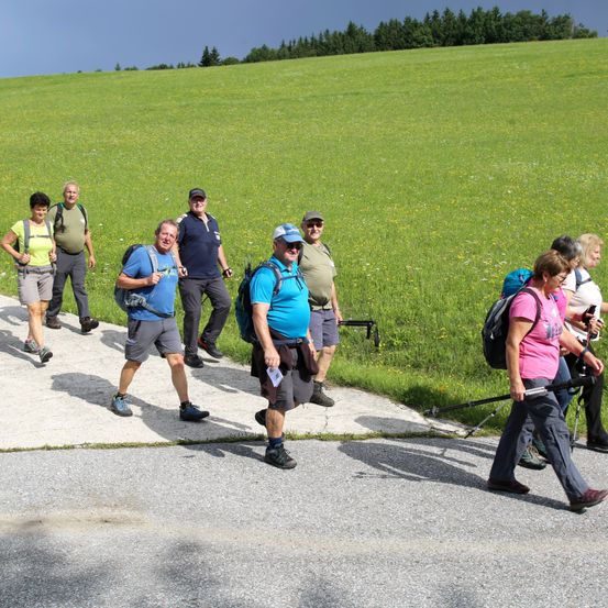 Eine Gruppe von Wanderern, einige mit Mützen, gehen auf einem Pfad in einem grünen Feld. Sie tragen Rucksäcke und Trekkingstöcke. Das Feld ist üppig und grün.