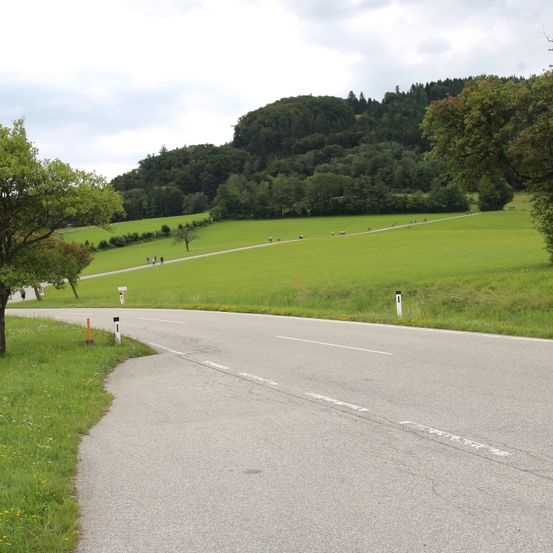Eine Straße kurvt durch ein üppiges grünes Tal mit grasbewachsenen Hügeln. Menschen gehen auf einem Pfad in der Ferne.