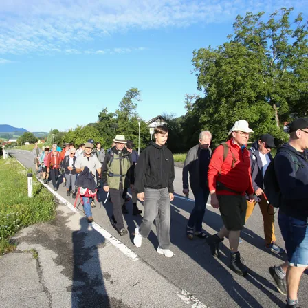 Eine Gruppe von Wanderern geht unter einem blauen Himmel mit Wolken eine Straße entlang, umgeben von Bäumen und Gras. Einige tragen Hüte und haben Rucksäcke.