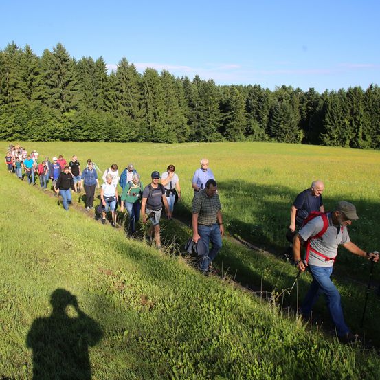 Eine Gruppe von Menschen wandert auf einem Grasfeld unter einem klaren Himmel. Sie tragen Hüte, Brillen und Turnschuhe. Einige tragen Rucksäcke. Hohe Bäume umgeben das Gebiet.
