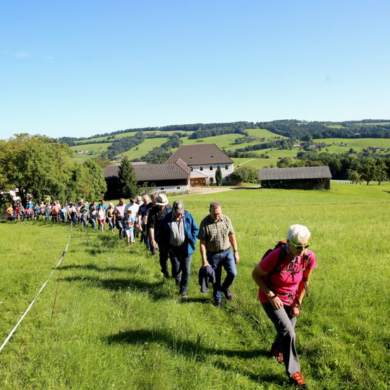 Eine Gruppe von Menschen läuft auf einem Grasfeld, einige tragen Hüte und Brillen. Eine Frau mit einem Rucksack joggt. Im Hintergrund befinden sich Gebäude, und es gibt Bäume und Berge in der Ferne.