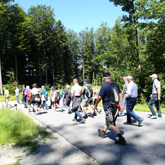 Eine Gruppe von Menschen geht auf einem Pfad im Wald, einige tragen Rucksäcke und Hüte. Der Weg ist von Bäumen beschattet.