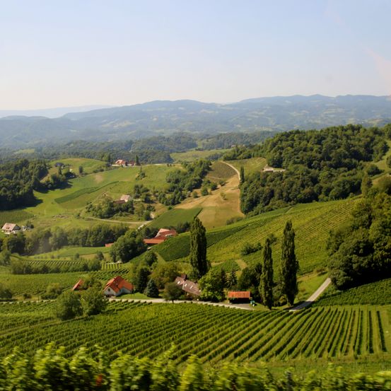 Ein Blick auf terrassierte Weinberge und kleine Häuser in einem Tal mit Bergen im Hintergrund.
