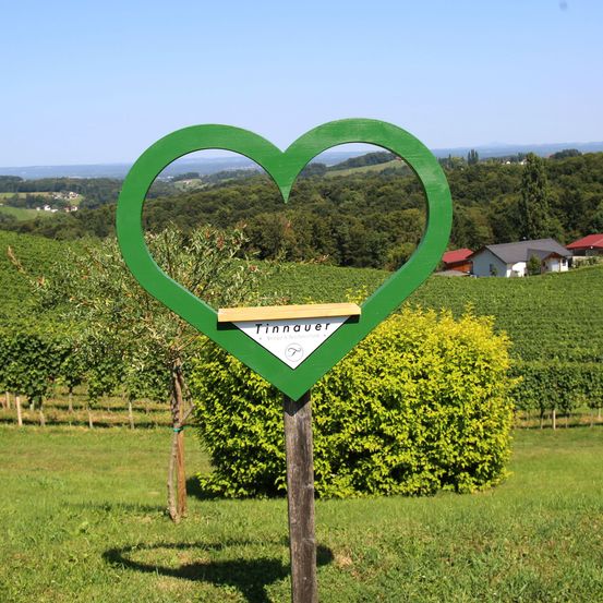 Ein herzförmiges Schild mit der Aufschrift 'Tinnauer' steht in einem Weinberg. Im Hintergrund sind Hügel, Bäume und Häuser zu sehen. Der Himmel ist klar.