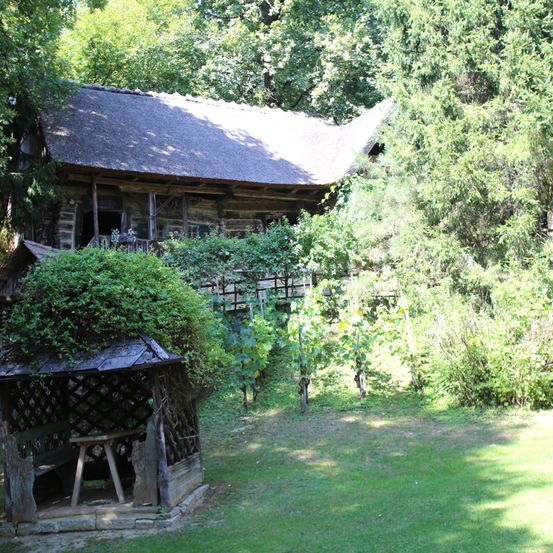 Ein rustikales Holzhaus mit Strohdach liegt eingebettet in üppiger Grünfläche, umgeben von hohen Bäumen. Ein hölzernes Gewächshaus mit einer Bank steht im Vordergrund auf einer Rasenfläche.