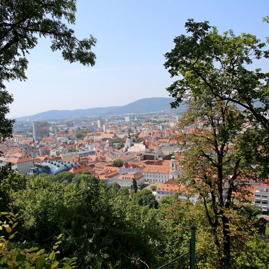 Ein Blick auf eine Stadt mit vielen Gebäuden, von denen die meisten rote Dächer haben. In der Ferne sind Berge zu sehen. Bäume umgeben die Stadt.