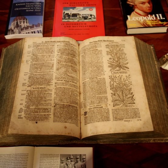 Ein offenes Buch liegt auf einem Tisch, umgeben von anderen Büchern. Das offene Buch hat alte, verblasste Seiten mit schwarzem Text. Dahinter befinden sich drei weitere Bücher, von denen zwei rote Einbände haben.