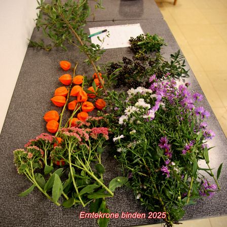 Eine Vielzahl von Blumen und Pflanzen ist auf einem grauen Tisch angeordnet, einschließlich orangefarbener und lila Blumen, zusammen mit grünen Blättern. Ein Papier und ein Stift befinden sich ebenfalls auf dem Tisch.