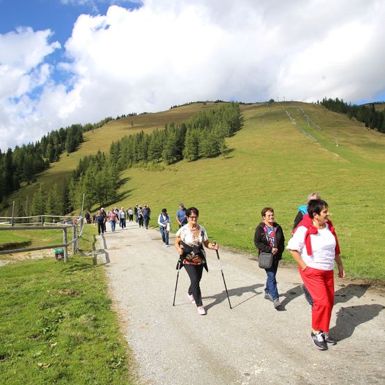 Eine Gruppe von Menschen geht auf einem Kiesweg mit Bäumen und einem Berg im Hintergrund. Einige von ihnen benutzen Gehstöcke.