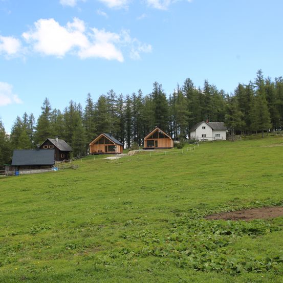 Ein Hügel mit mehreren rustikalen Hütten, umgeben von einem üppigen grünen Feld und hohen Bäumen unter einem klaren blauen Himmel.