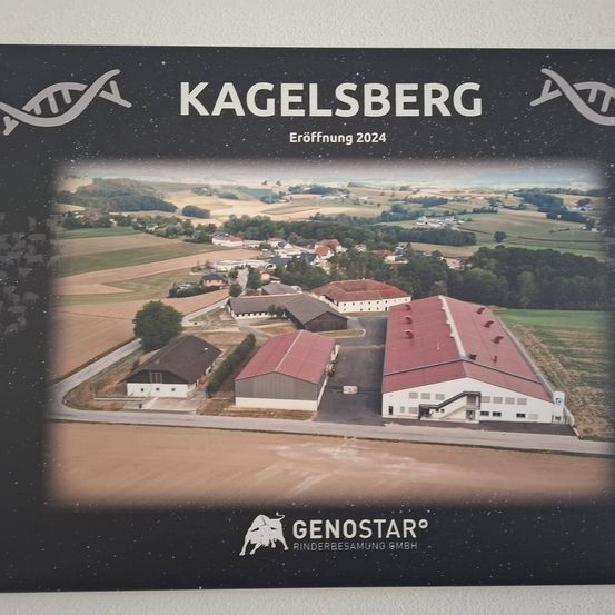 Ein Poster zur Eröffnung von Kagelsberg im Jahr 2024. Es zeigt Luftaufnahmen von Gebäuden, Feldern und einer Straße. Die Gebäude haben rote Dächer und sind von Grün umgeben. Ein Wasserzeichen lautet 'GENOSTAR Rinderbesammlung GmbH'.