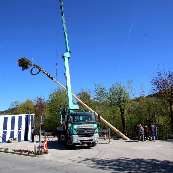 Ein großer LKW-Kran hebt eine lange Holzstange mit Grünpflanzen. Mehrere Menschen stehen herum, und es gibt Bäume und einen blauen Himmel im Hintergrund.